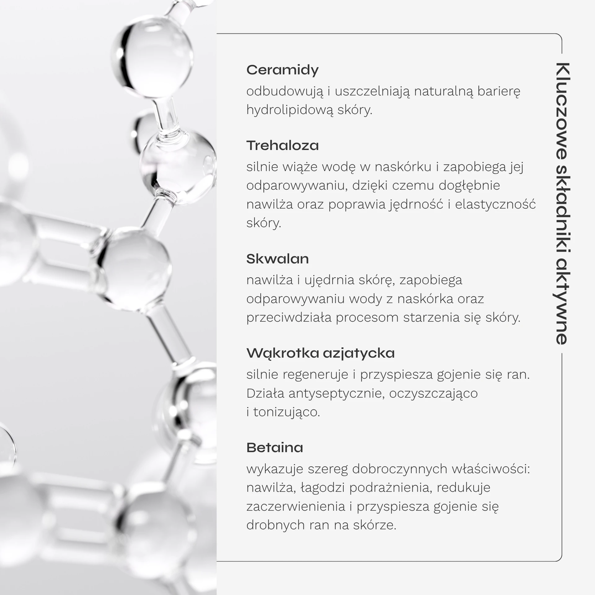 krem-ceramidowy-karta-produktu-04.webp